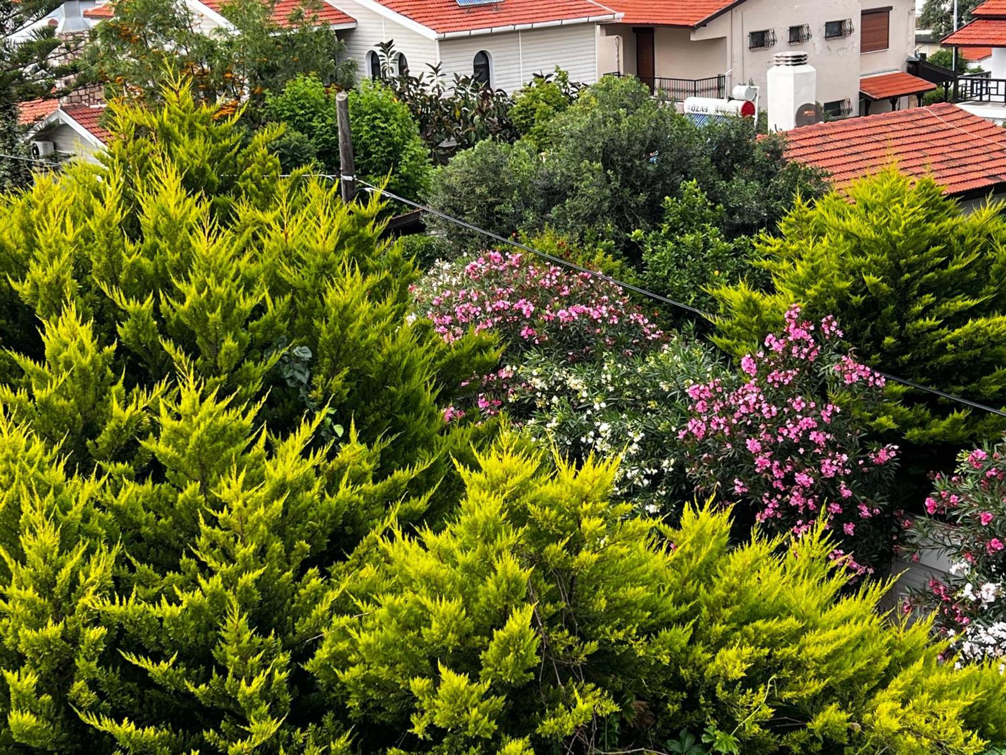 Ada Konak Otel Urla Extérieur photo